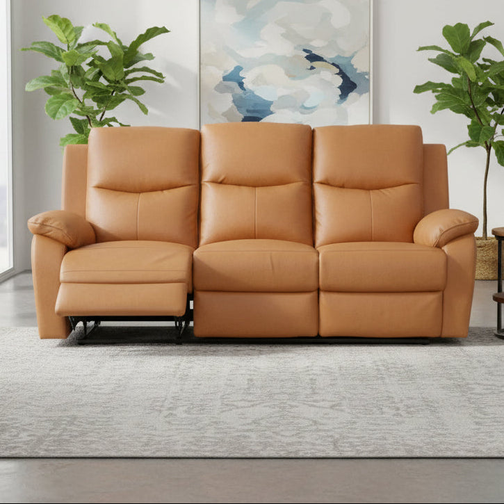Brown leather sofa in a living room with plants and abstract art on the wall.