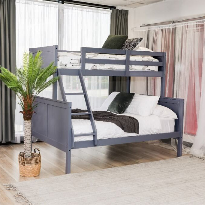 Bunk bed in a room with curtains and a plant